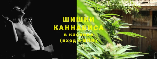 PSILOCYBIN Арсеньев