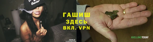 бошки Аркадак