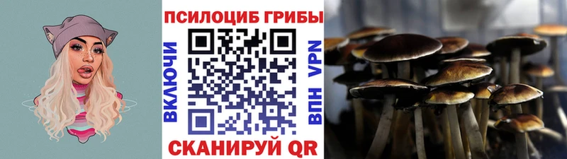 дарнет шоп  это состав  Галлюциногенные грибы мухоморы  Самара 